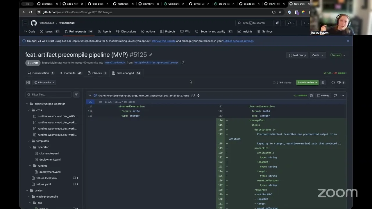 WASI TLS implementation